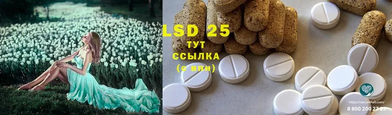 Лсд 25 экстази ecstasy Ермолино